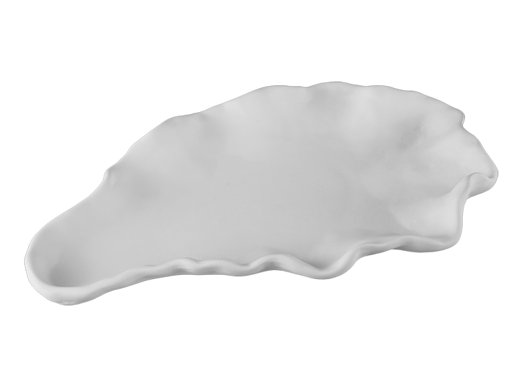 🦞 Oyster Shell Platter
