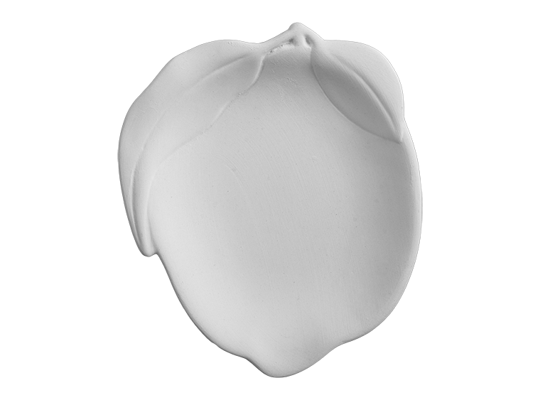 Lemon Dish