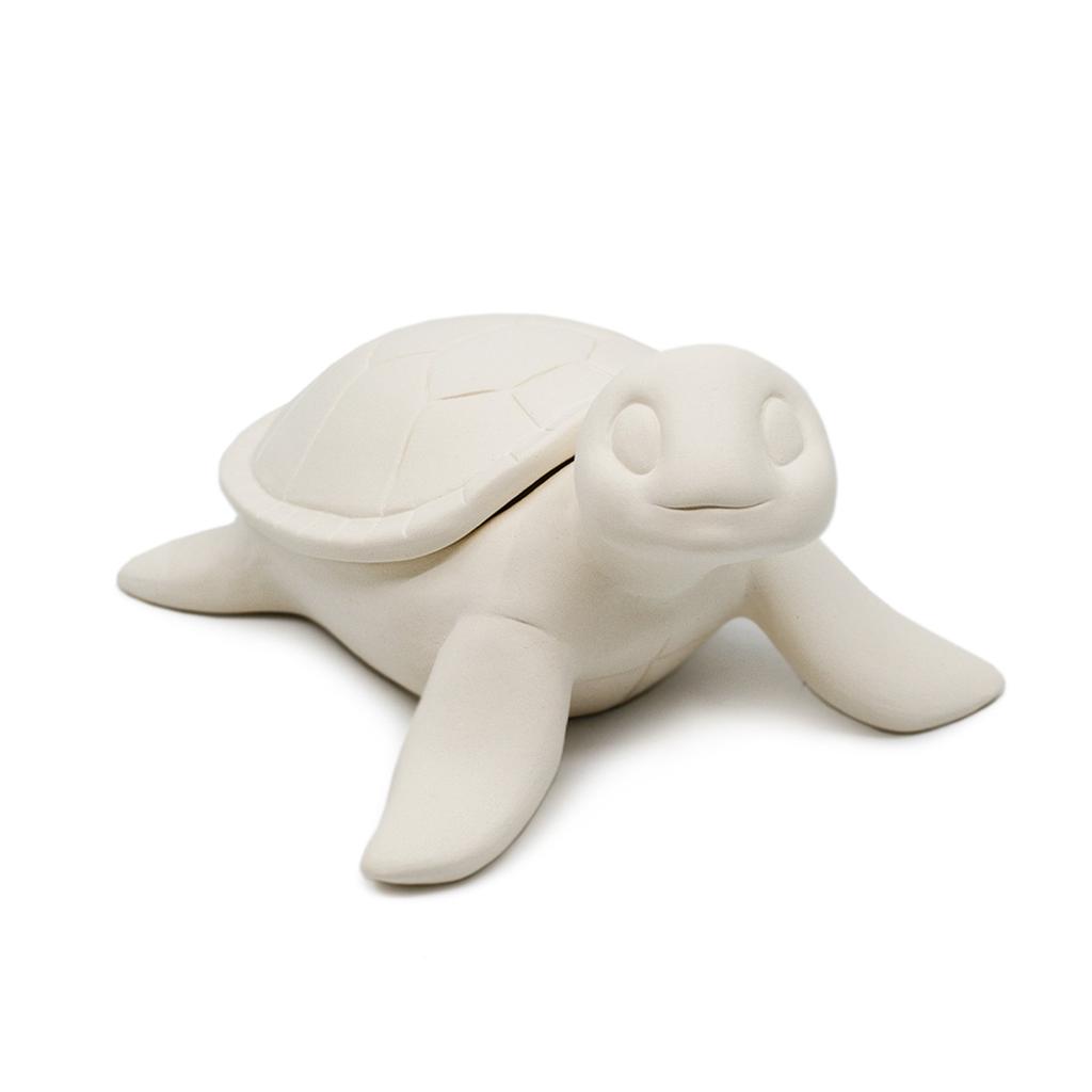 🦞 Sea Turtle Box