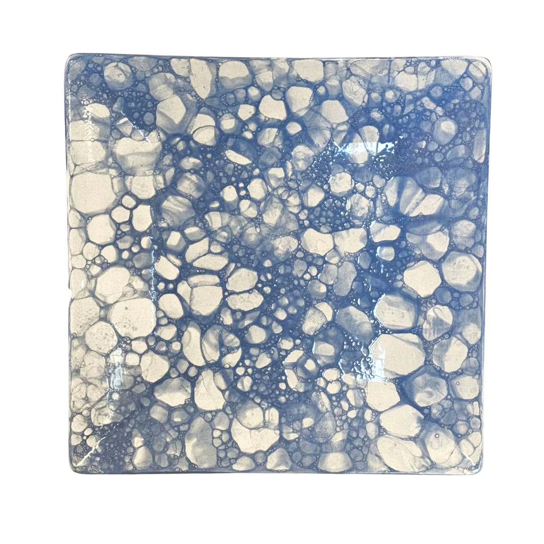 🍽️ 🦞 👻 Sq Coupe Dinner Plate