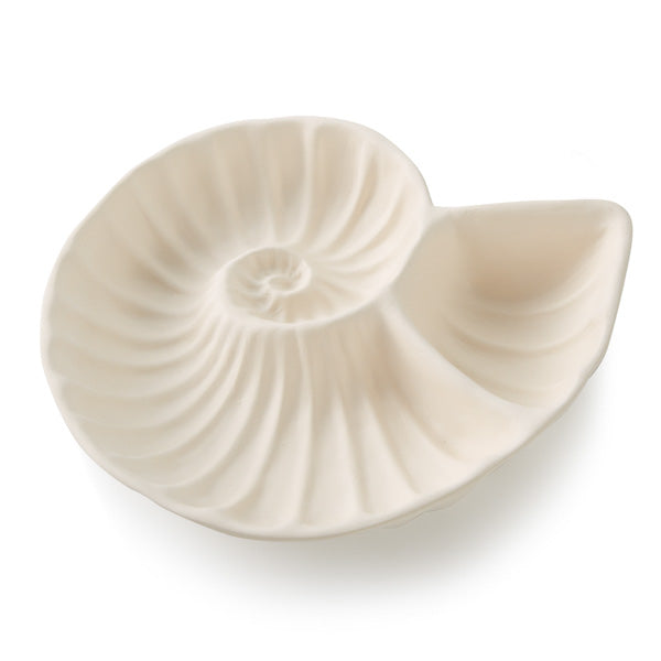 Shell-Shaped Chip and Dip