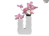 Double Squiggle Vase