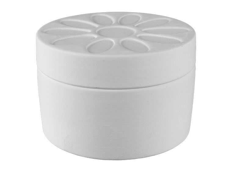 💚 Girl Scout Daisy Box