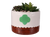 Girl Scout Trefoil Planter