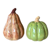 🍂 Gourd Salt and Pepper Set